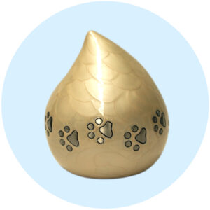 Drop-Aparlada-Urnas-Pets-In-Heaven-Saltillo