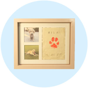 Marco-Hueso-Urnas-Pets-In-Heaven-Saltillo