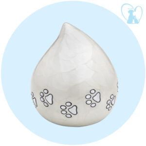 Drop-Aparlada-Urnas-Pets-In-Heaven-Saltillo